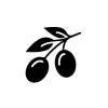 Autour de l'olive